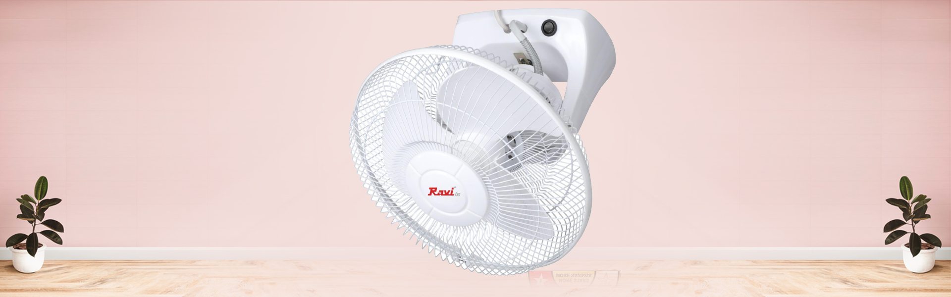 Stormy Fan 