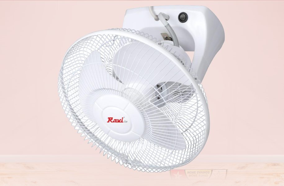 Stormy Fan 