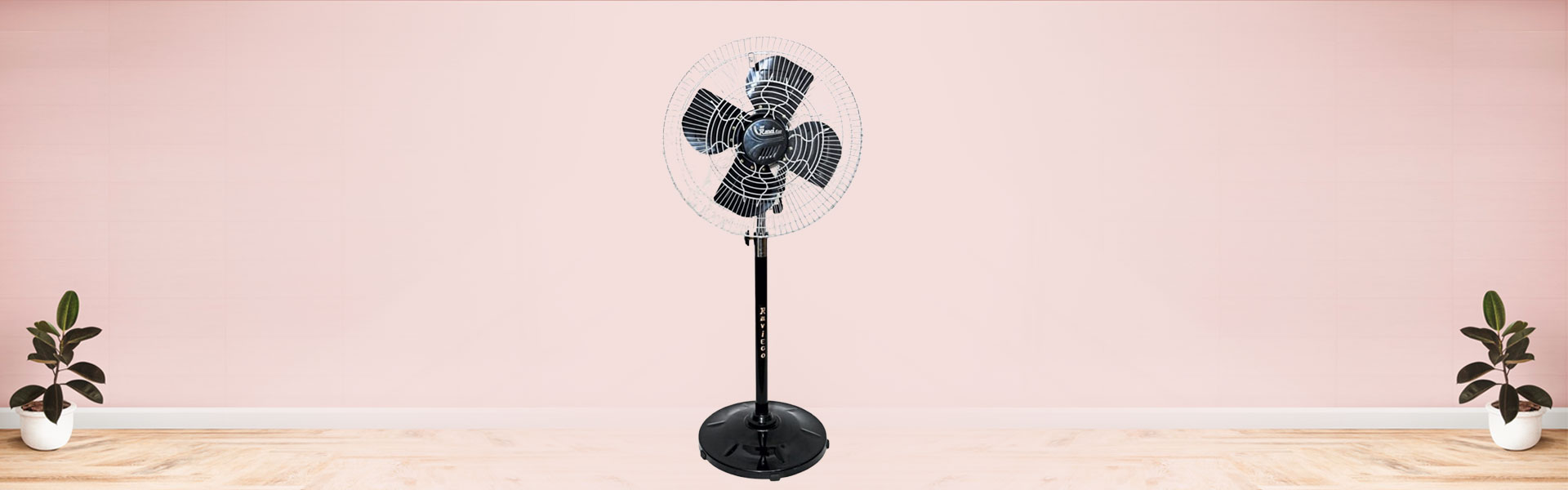 Stormy Fan 