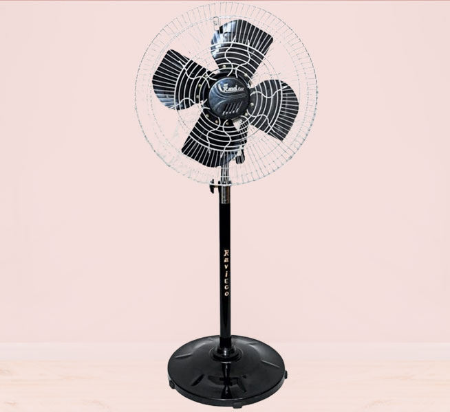Stormy Fan 