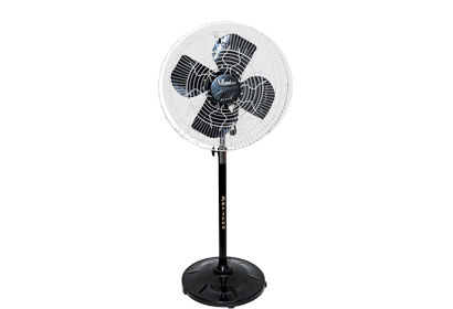 Stormy Fan 