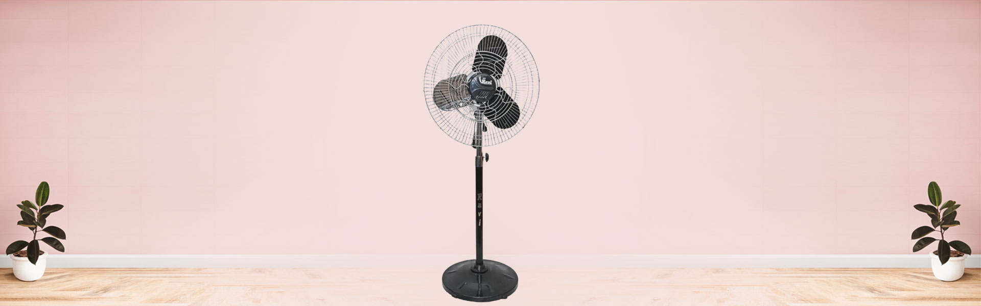 Stormy Fan 