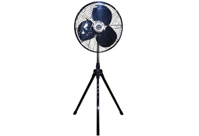 Trishul 450 mm Oscillating Fan